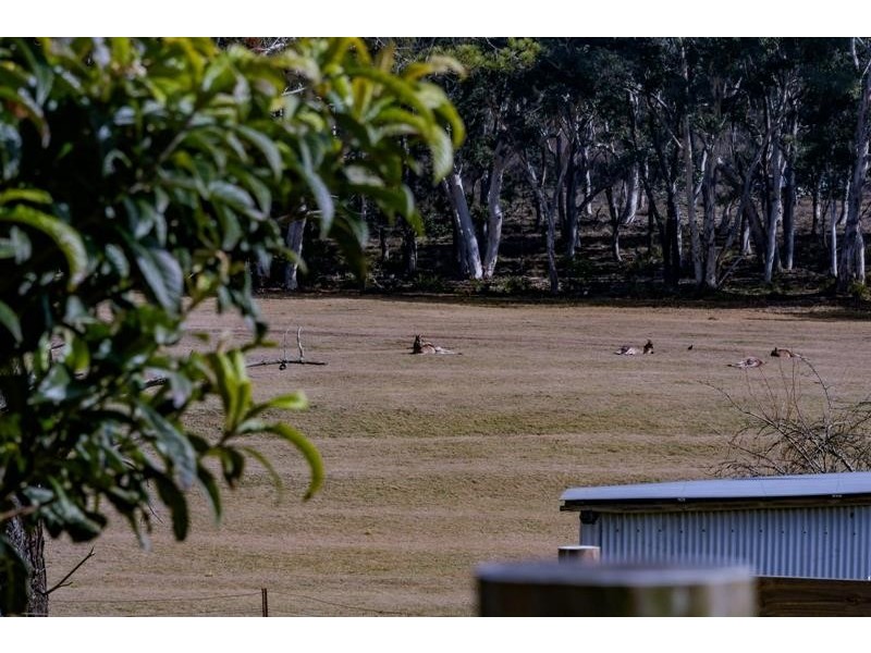 79 Caoura Road, Tallong NSW 2579