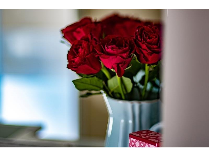 23 Brigadoon Drive, Bundanoon NSW 2578