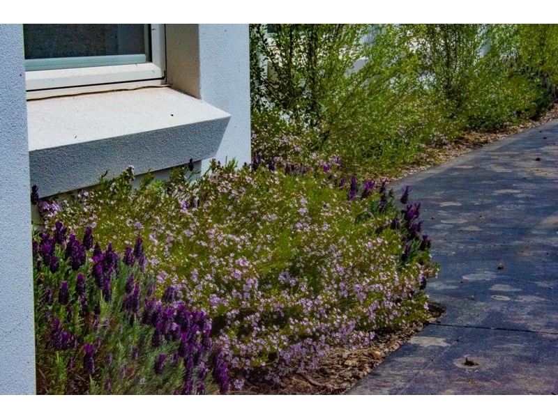 61 Greasons Road, Bundanoon NSW 2578