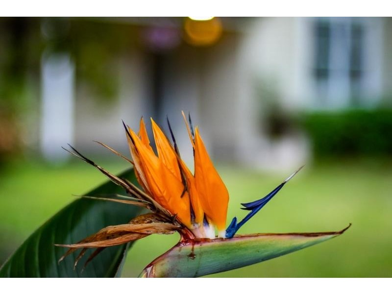 197 Railway Avenue, Bundanoon NSW 2578