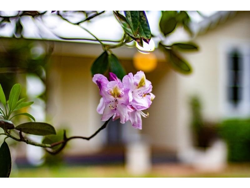 197 Railway Avenue, Bundanoon NSW 2578