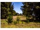 1303 Highland  Way, Tallong NSW 2579