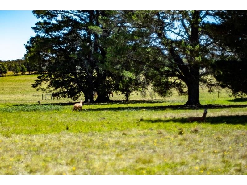 1303 Highland  Way, Tallong NSW 2579