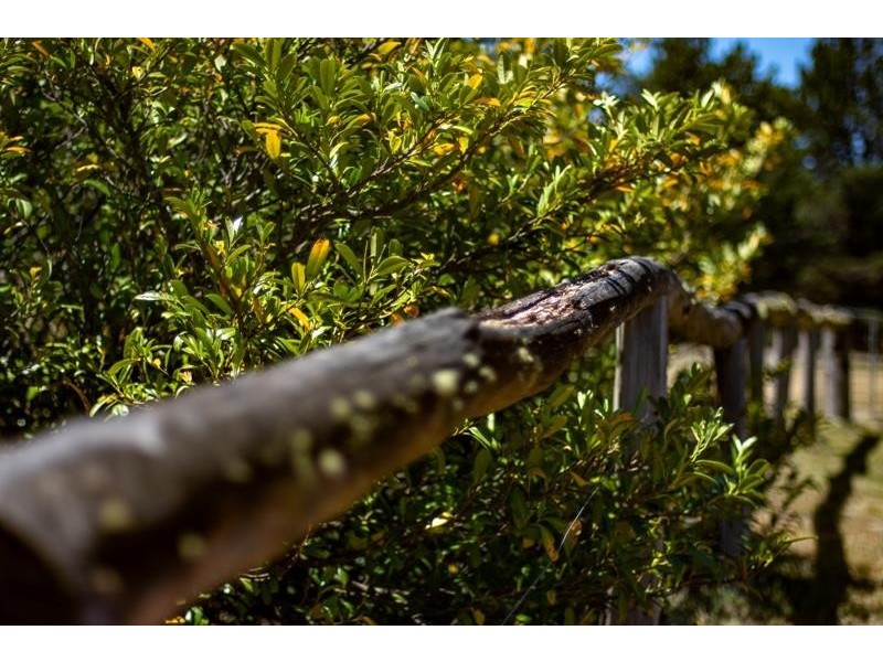 1303 Highland  Way, Tallong NSW 2579