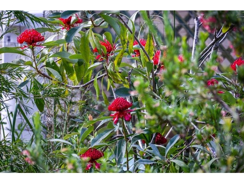 903 Penrose Road, Penrose NSW 2579