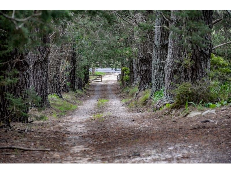 577 Penrose Road, Penrose NSW 2579