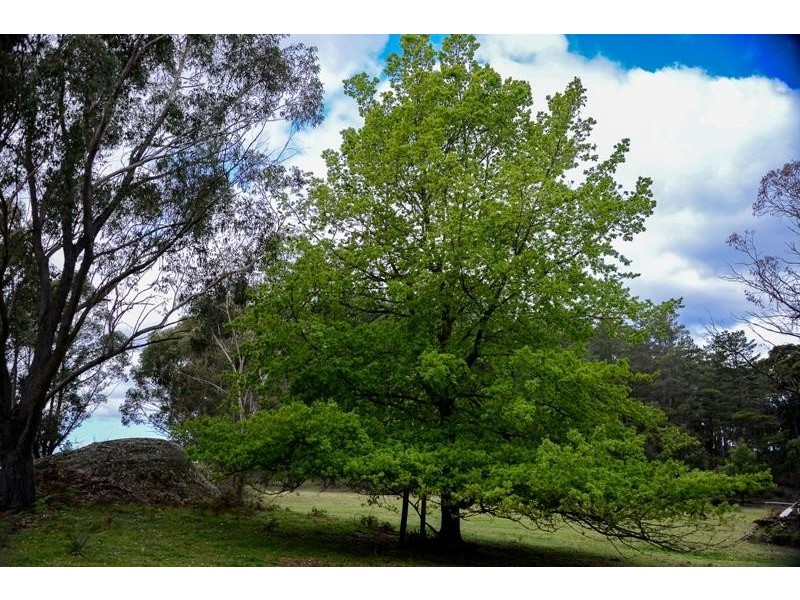 577 Penrose Road, Penrose NSW 2579