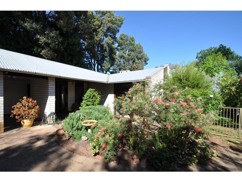 13 Dalton  Street, Dubbo NSW 2830