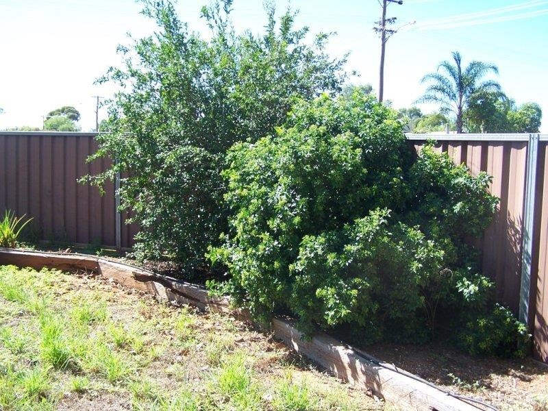 2 Wattle Drive, Cobar NSW 2835