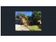 5  Blanch Place, Forster NSW 2428