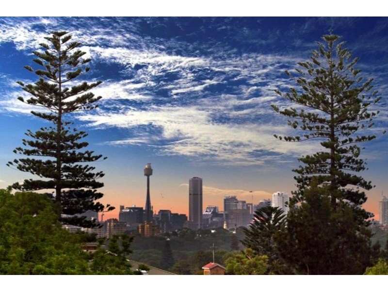 5 Fraser  St, Randwick NSW 2031