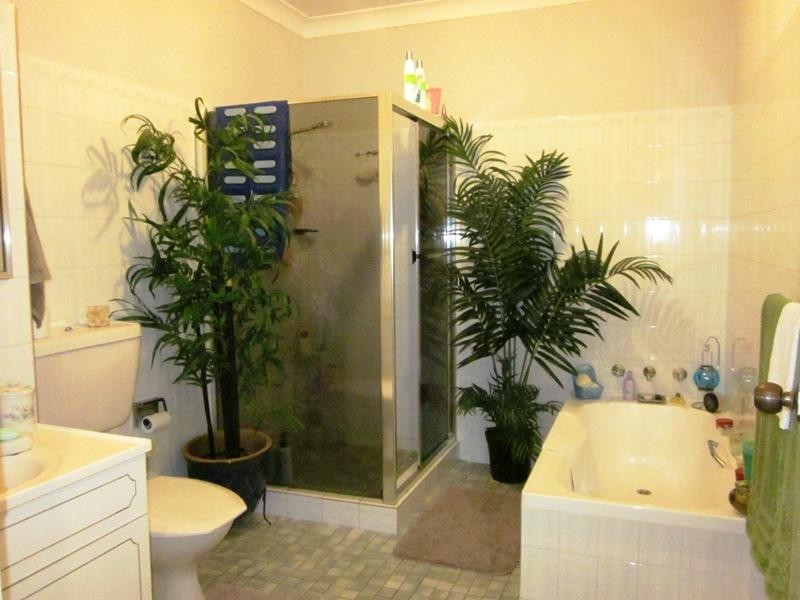 48 Monomeeth St, Bexley NSW 2207