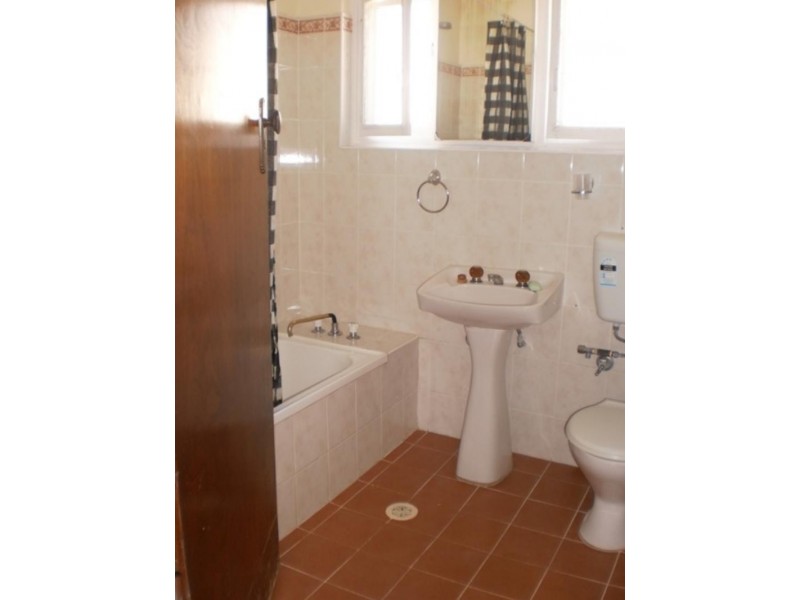 29 Carrington St, Bexley NSW 2207