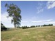 961 Bolong Rd, Coolangatta NSW 2535