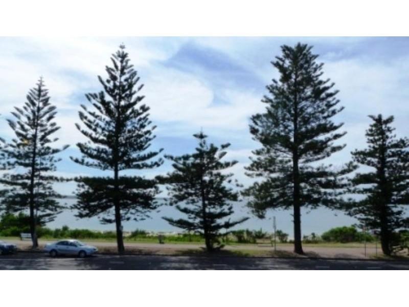 3/113 The Grand Pde, Brighton-le-sands NSW 2216