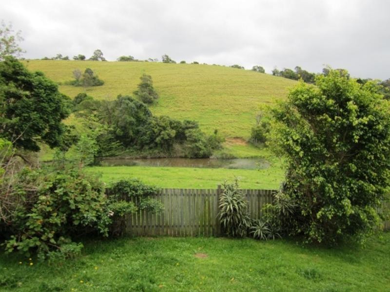 153 South Avondale Rd, Avondale NSW 2530