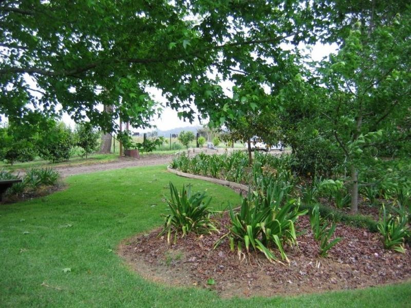 111 Pine Ave, Ulong NSW 2450