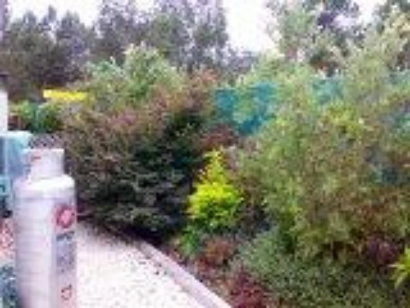 163/64 Newman St, Woolgoolga NSW 2456