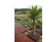 1 Timms Ave, Ulong NSW 2450