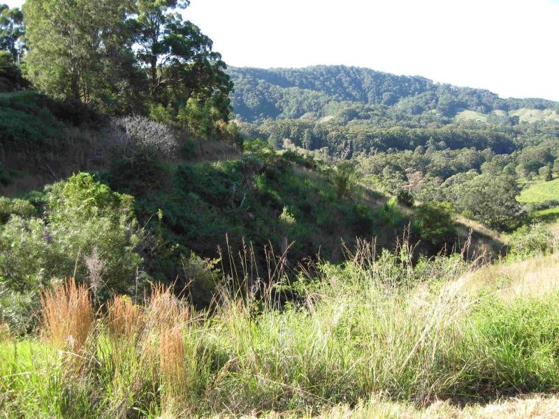 Coffs Harbour NSW 2450