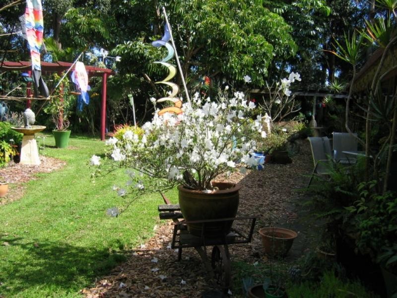 24 Jacaranda Dr, Upper Orara NSW 2450