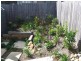 1 Timms Ave, Ulong NSW 2450