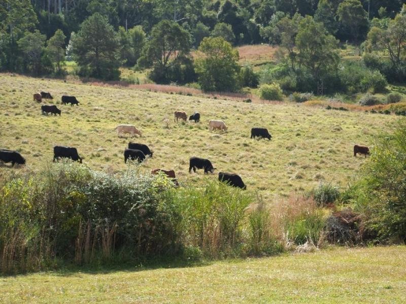 15 Wilson St, Lowanna NSW 2450