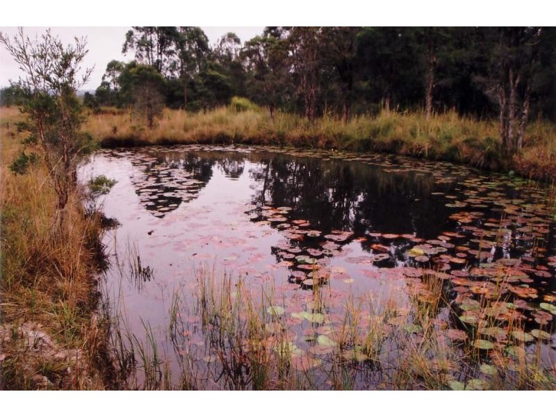 279 Omega Dr, Kungala NSW 2460