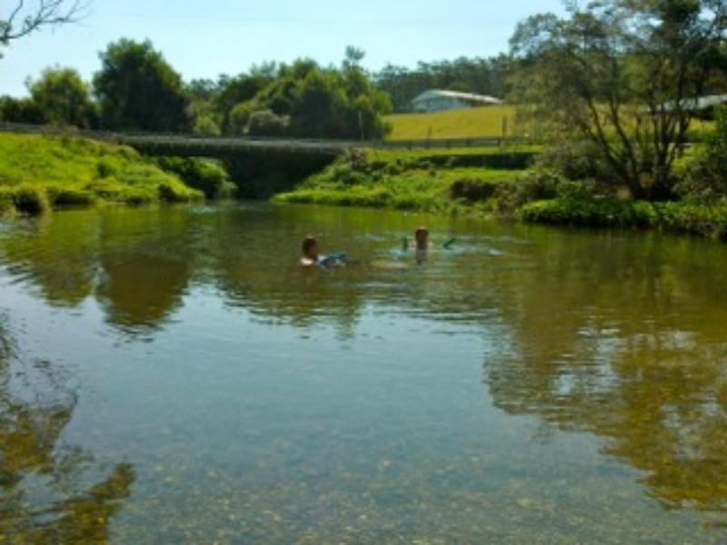 135a Pine Ave, Ulong NSW 2450
