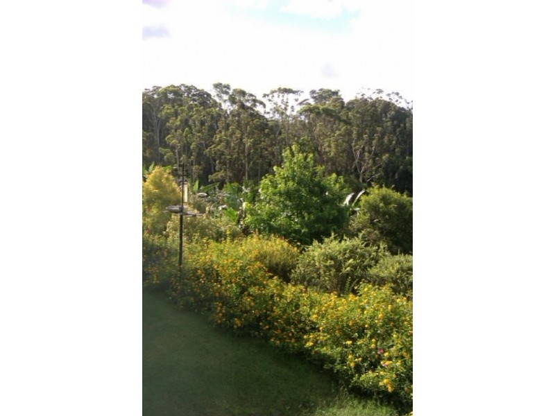 24 Jacaranda  Dr, Upper Orara NSW 2450