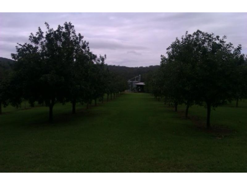 205  Central Bucca St, Bucca NSW 2450