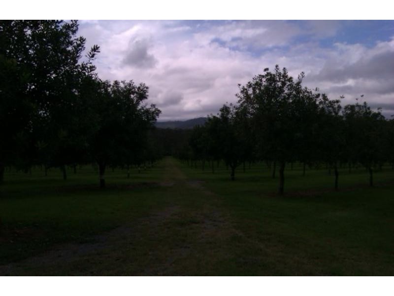 205  Central Bucca St, Bucca NSW 2450