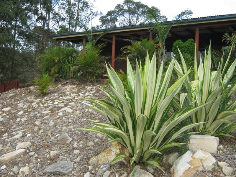 2520 Sherwood Creek  Rd, Glenreagh NSW 2450