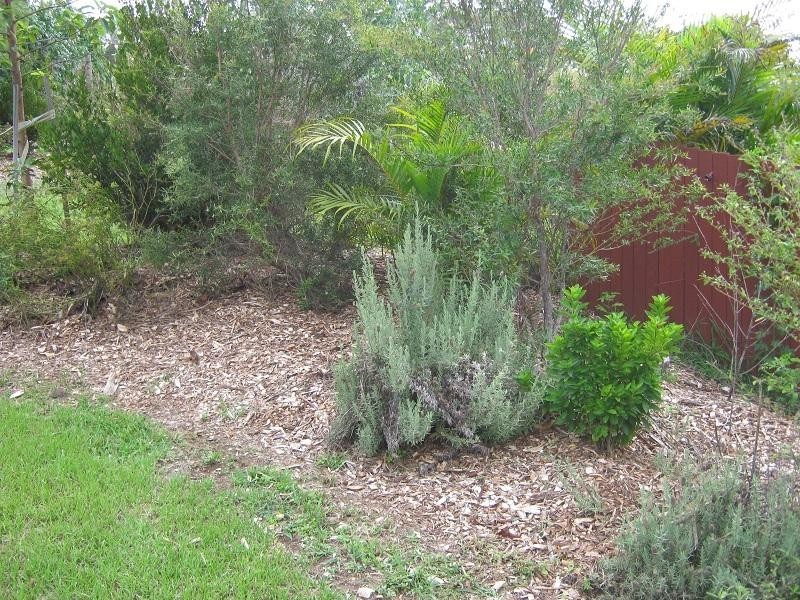 2520 Sherwood Creek  Rd, Glenreagh NSW 2450