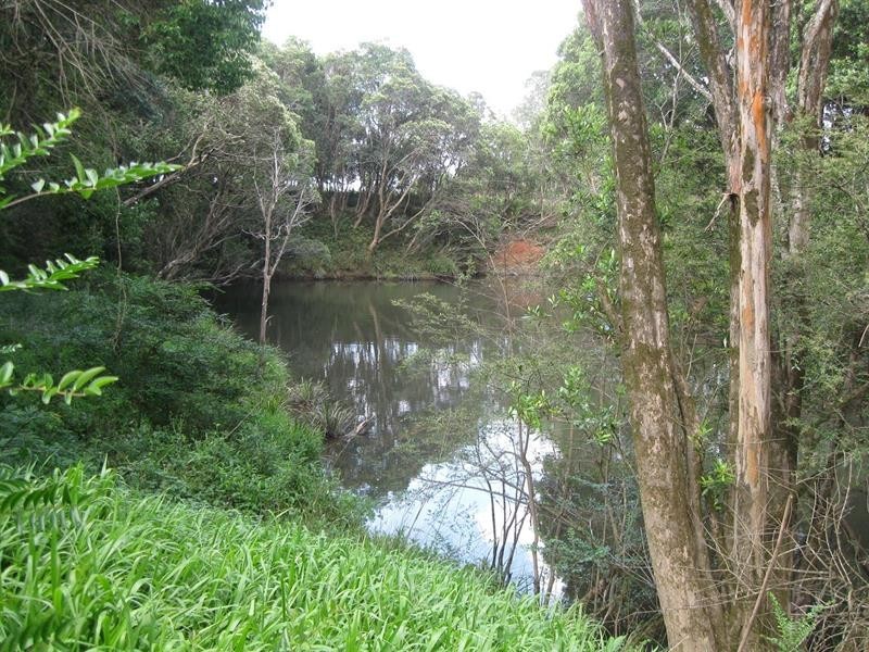 980 Orara Way, Nana Glen NSW 2450