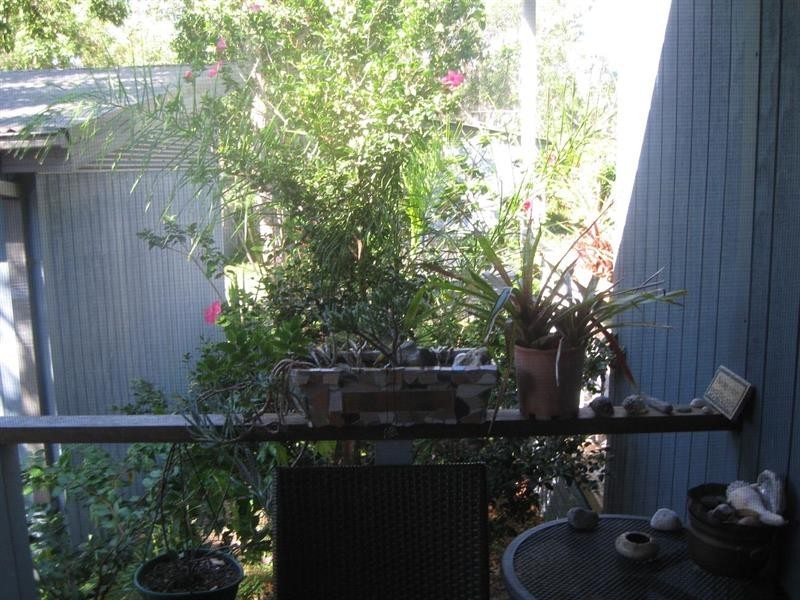 121/8 Hearnes Lake Rd, Woolgoolga NSW 2456