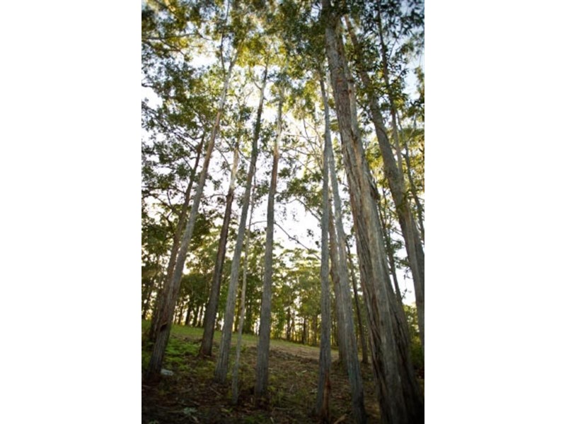 Various at Oyster Drive, Valla NSW 2448