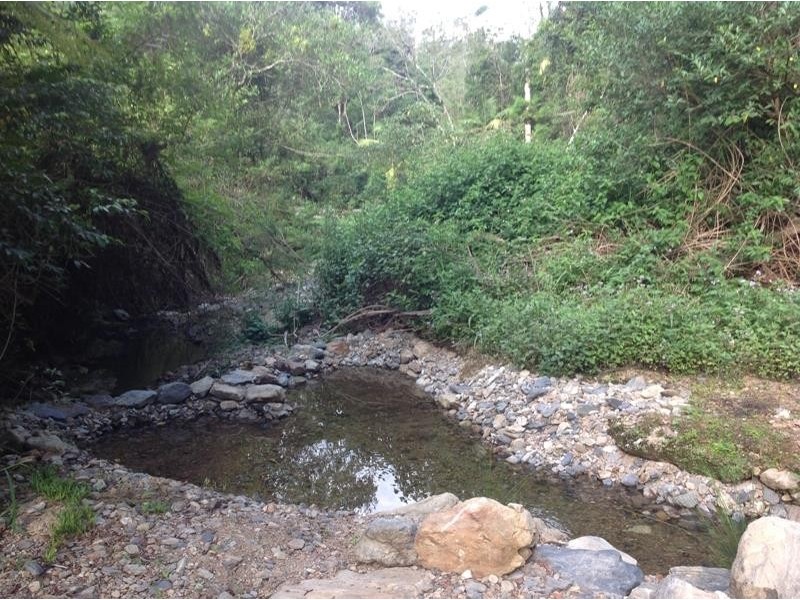 802 Dairyville Road Rd, Upper Orara NSW 2450
