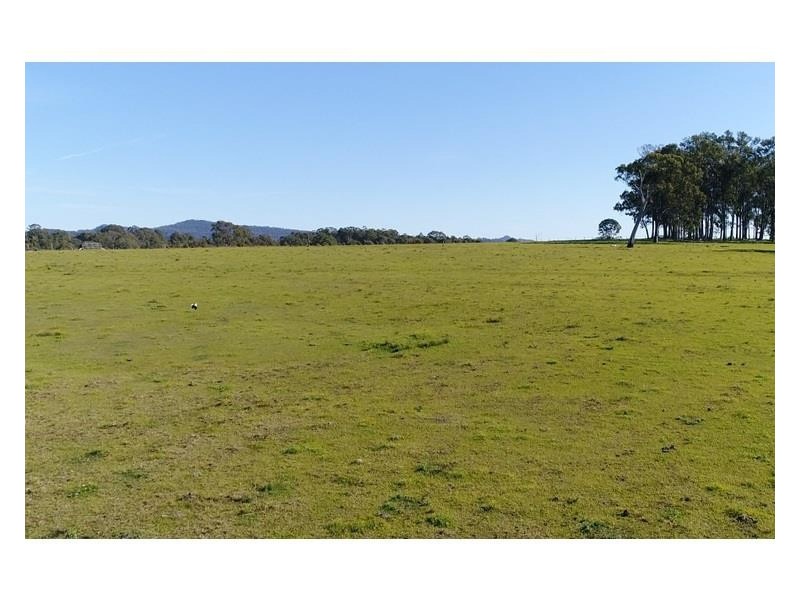 2034 + A Armidale Road, Shannondale NSW 2460