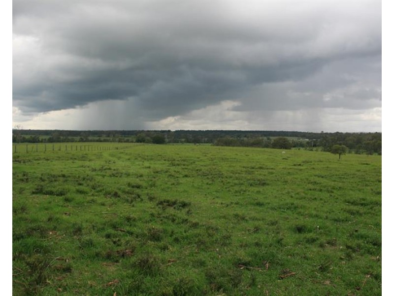 2034 + A Armidale Road, Shannondale NSW 2460