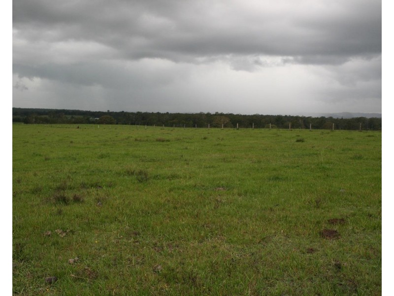 2034 A Armidale Road, Shannondale NSW 2460