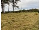 120 Moonee Creek Drive, Moonee Beach NSW 2450