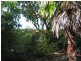 72 Boultwood St, Coffs Harbour NSW 2450