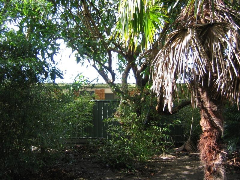 72 Boultwood St, Coffs Harbour NSW 2450