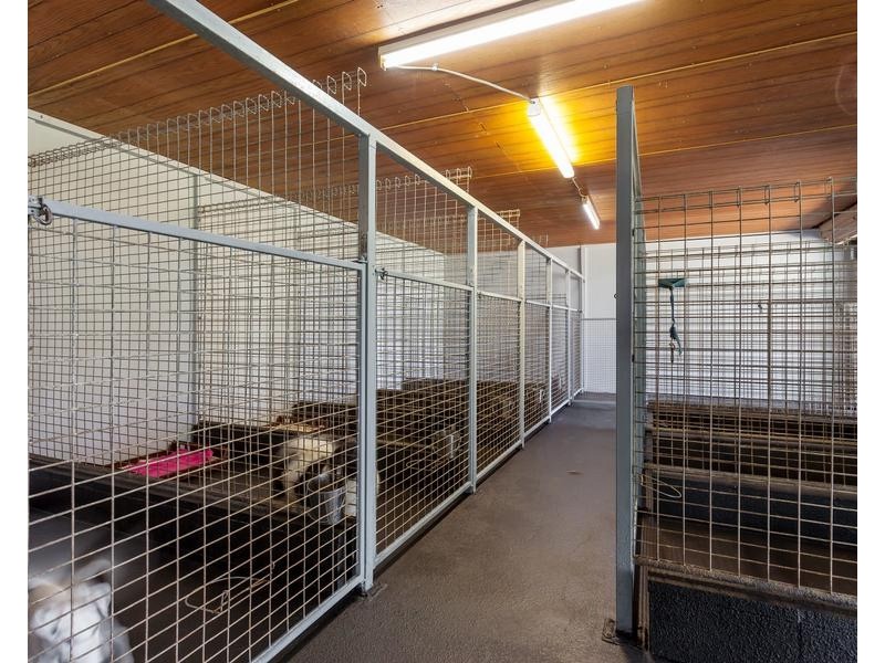 15 Sprott Road, Ellinthorp QLD 4362