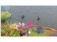 101 Baanya Street, Wurtulla QLD 4575