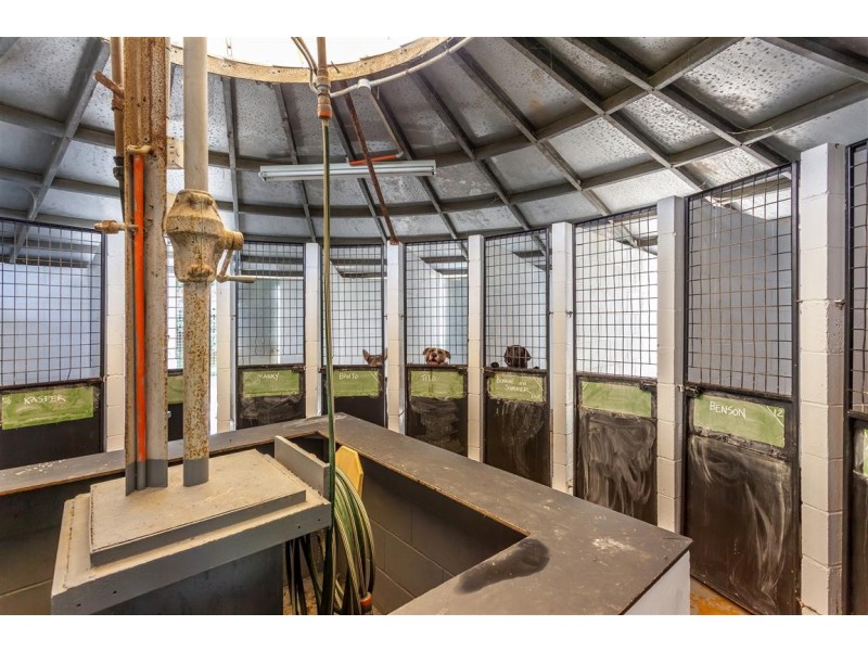 160 DRAYTON WELLCAMP ROAD, Glenvale QLD 4350
