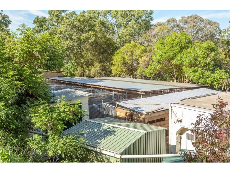 160 DRAYTON WELLCAMP ROAD, Glenvale QLD 4350