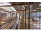 160 DRAYTON WELLCAMP ROAD, Glenvale QLD 4350