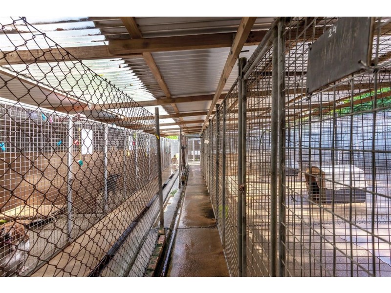 160 DRAYTON WELLCAMP ROAD, Glenvale QLD 4350